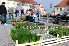Vyškovské trhy se vracejí na náměstí. Každou lichou středu až do listopadu